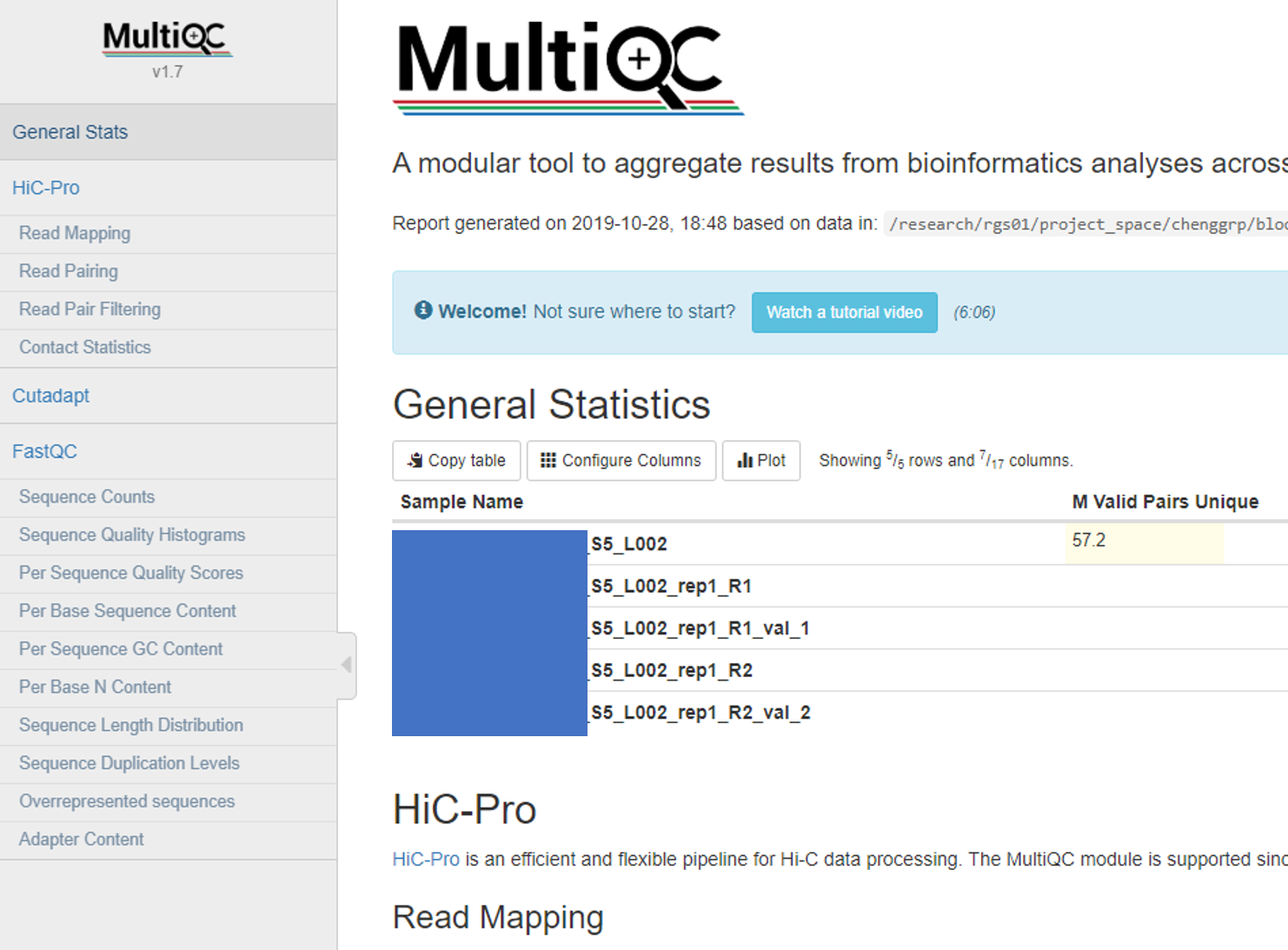 ../../_images/hicpro-multiqc-report.png